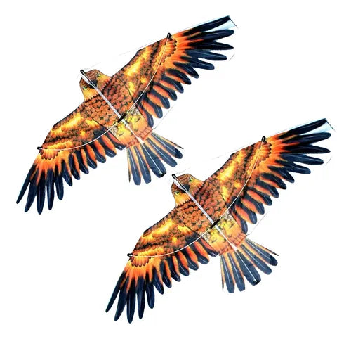 Realistic Eagle Bird Outdoor Flying Kite