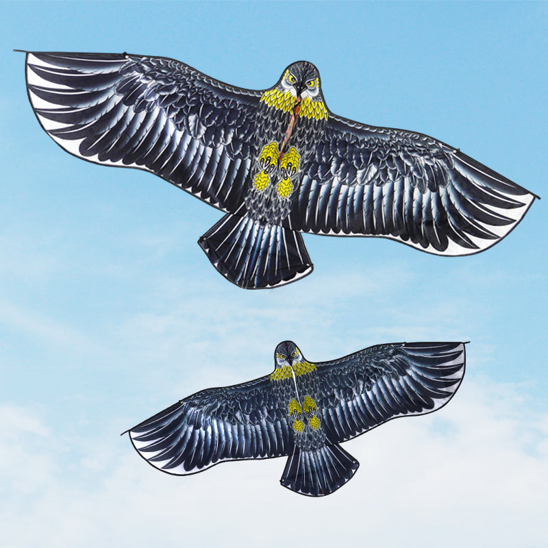 Small bird kite