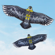 Small bird kite