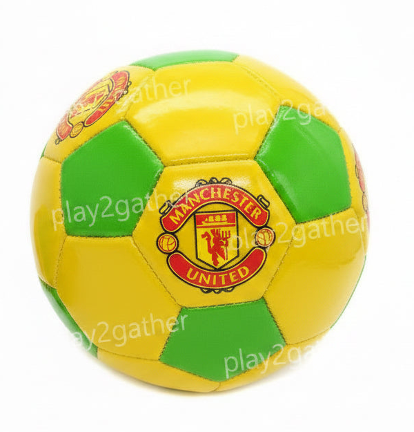 Manchester United FC Tribute Football image 1