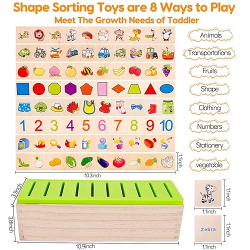 Wooden Knowledge Classification Box product image 3