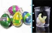 Water-Growing Dinosaur Eggs! image 3