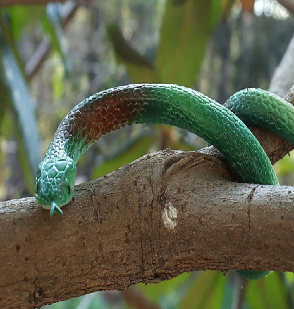 Realistic Rubber Fake Snake Toy image 3