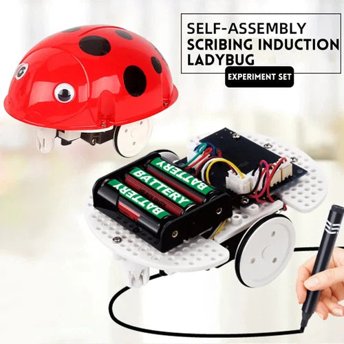 Self-Assembly Induction Line Set product image 7