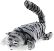 The Wiggling & Rolling Gray Tabby Cat product image 3