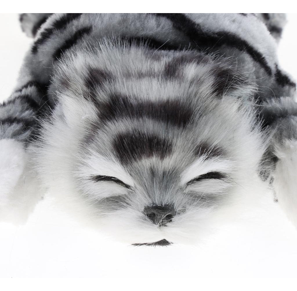 The Wiggling & Rolling Gray Tabby Cat product image 5