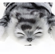 The Wiggling & Rolling Gray Tabby Cat product image 5