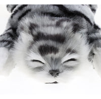 The Wiggling & Rolling Gray Tabby Cat product image 5