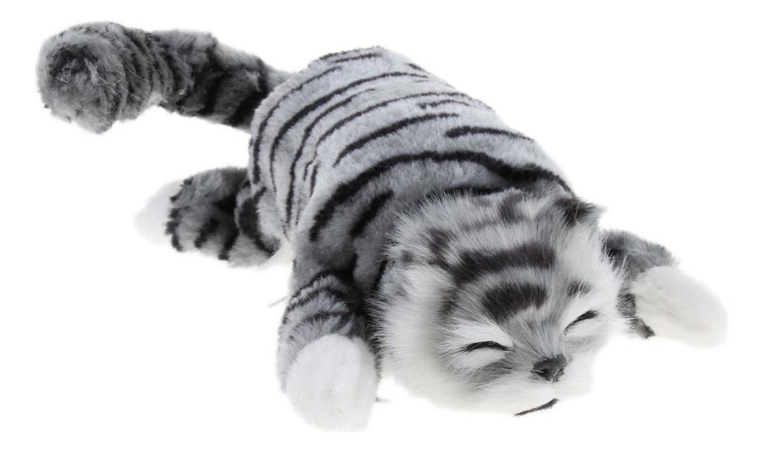 The Wiggling & Rolling Gray Tabby Cat