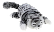 The Wiggling & Rolling Gray Tabby Cat