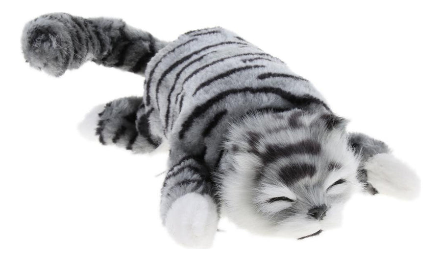 The Wiggling & Rolling Gray Tabby Cat