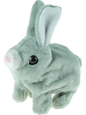 Plush Rabbit Toy