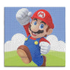 Mario 5D Diamond Painting Canvas Board Kit