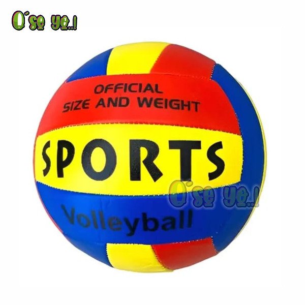 Official Size & Weight Tricolor Volleyball