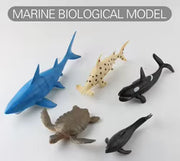 Marine Life World Ocean Animal Figures Set