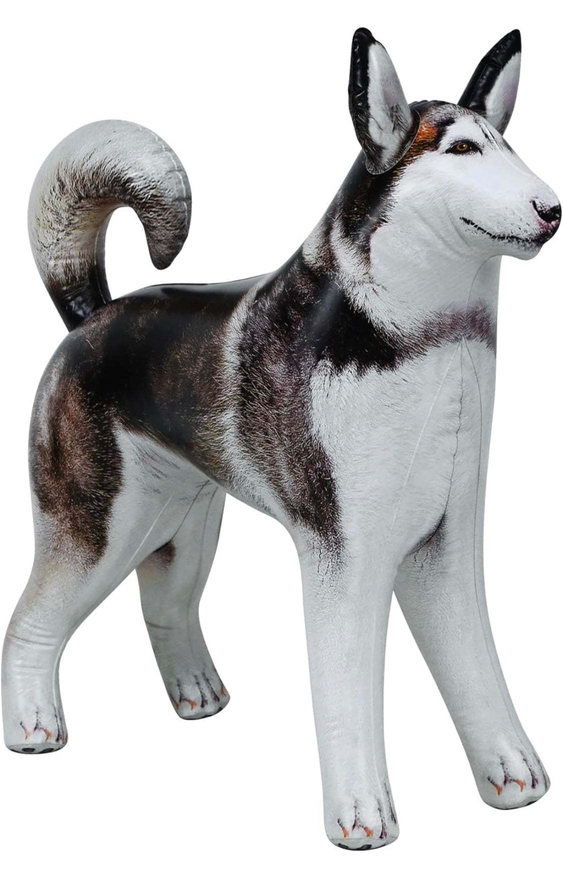 Life-Sized Inflatable Husky/Malamute