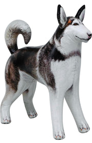 Life-Sized Inflatable Husky/Malamute