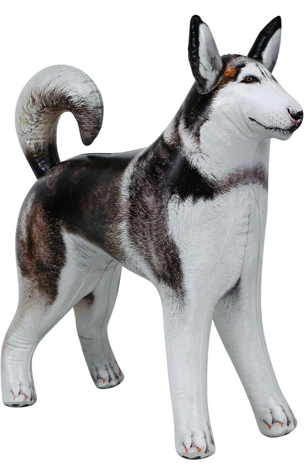 Life-Sized Inflatable Husky/Malamute