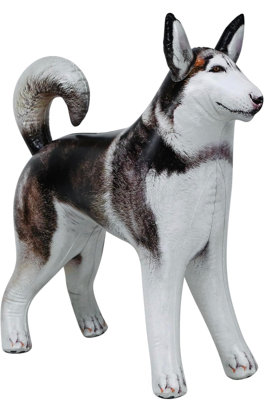 Life-Sized Inflatable Husky/Malamute